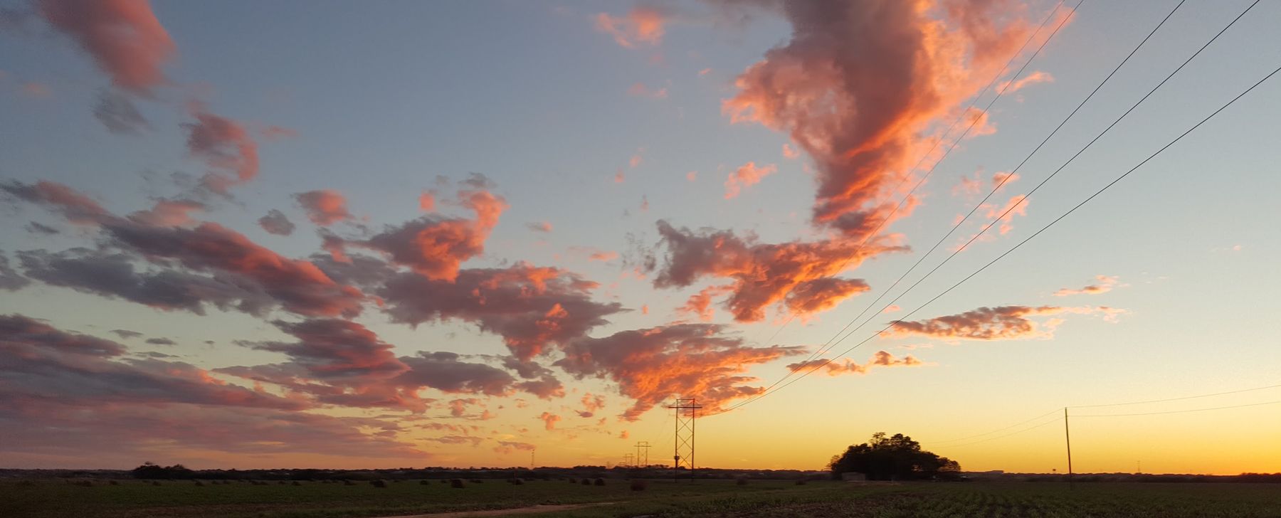 A pink and orange sunset over open farmland on the edge of Kyle, Texas, with a line of power poles and a stand of oaks on the horizon